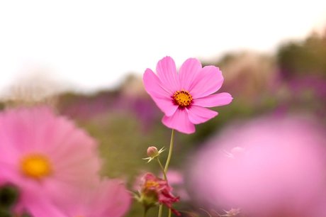 Reiji model art photo