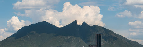 RegioG1 art star photos