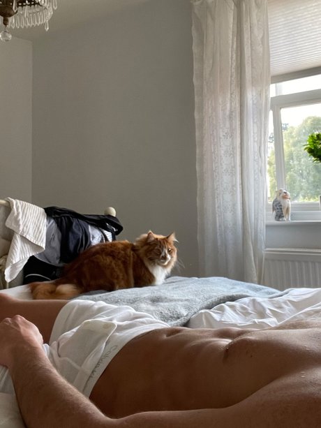 Regico nude model pictures