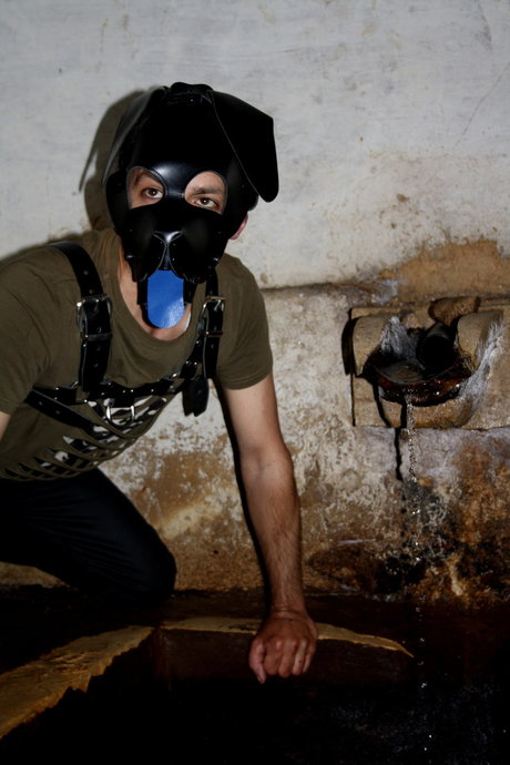 pup Regaleiro actress pictures