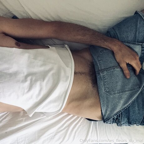 romantic amp amp kinky star art photo