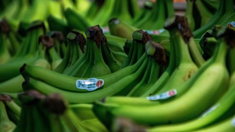 Robert Fretz nudes model images