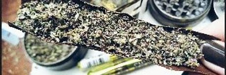 Moldovan Rare_ exclusive model gallery