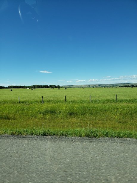 runnerphilv free model image