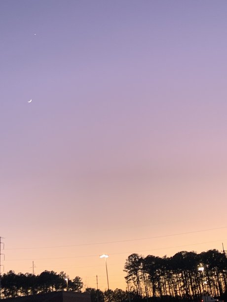 Roxanne Trixxx model pornographic pictures