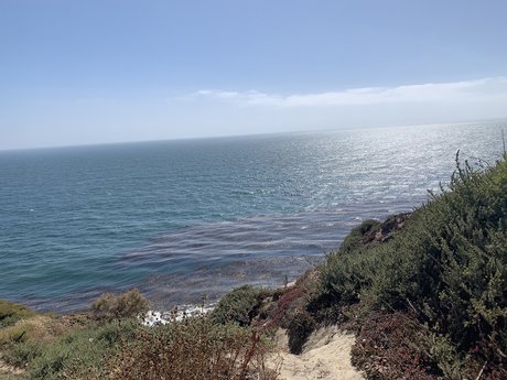 Ian Rios art model images