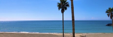 Rose Melle model perfect image