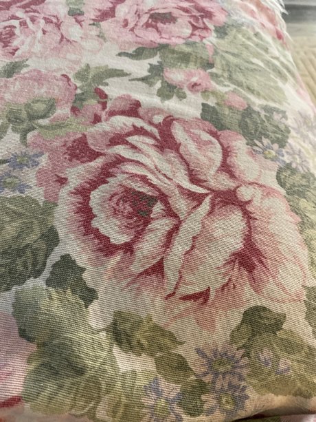 u18031372 star high quality pic