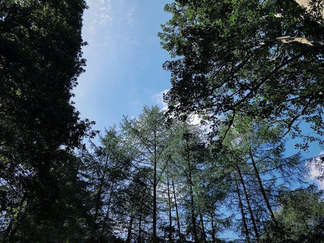 Samara_ nude pornstar pics