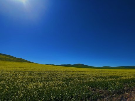 Sage Kingsley hot star image