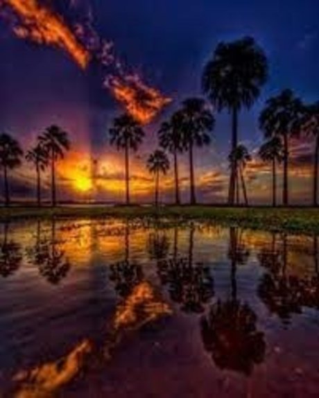 SaftigerDaddy star nude archive