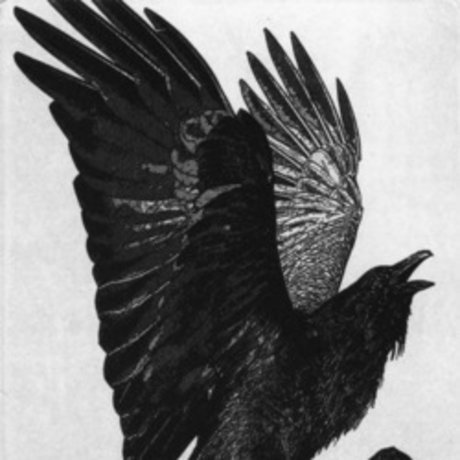 Doom model perfect picture