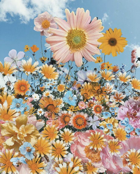 sadgrrlx star beautiful img