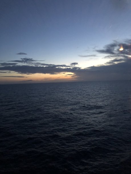 d4vrrr pornographic star pic