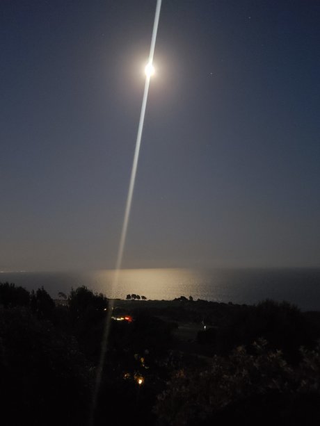 R S 932 star hot pic