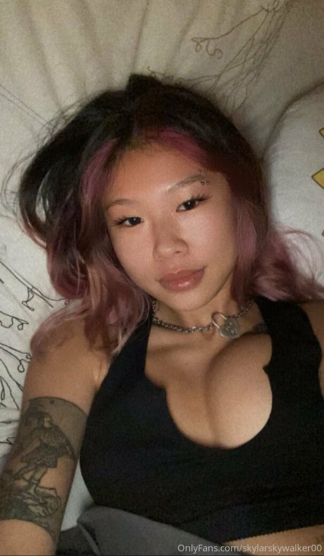 skylarskywalker00 high quality model img