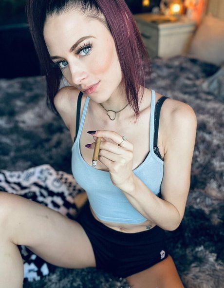 kylerquinnporn adult star image