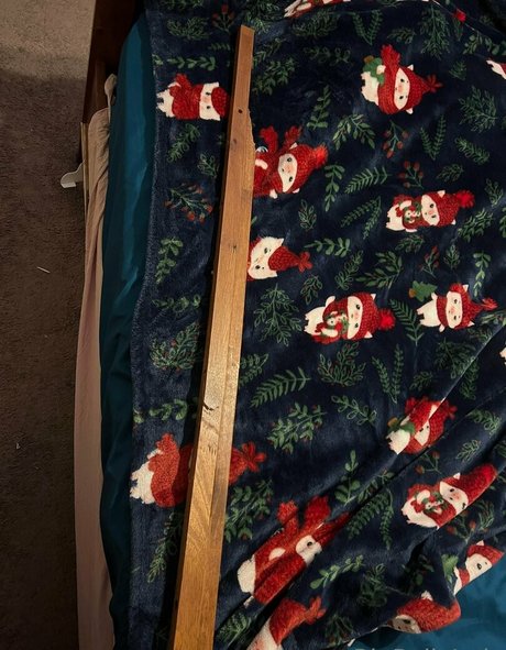 bigbellyjudy star pretty archive