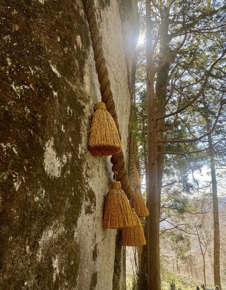 rikakodesu star perfect picture