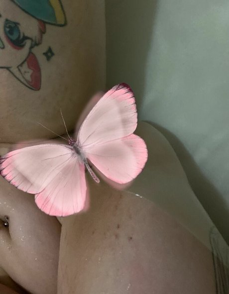 andrordrend8 star xxx img