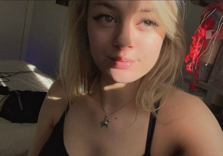 ambermoorexxx top pornstar archive