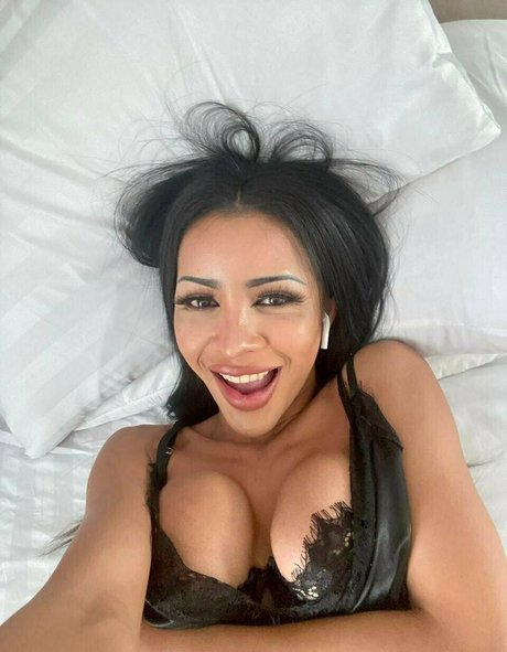 transsohot exclusive pornstar gallery