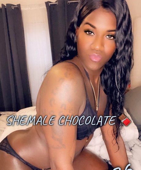 transsohot top actress pictures