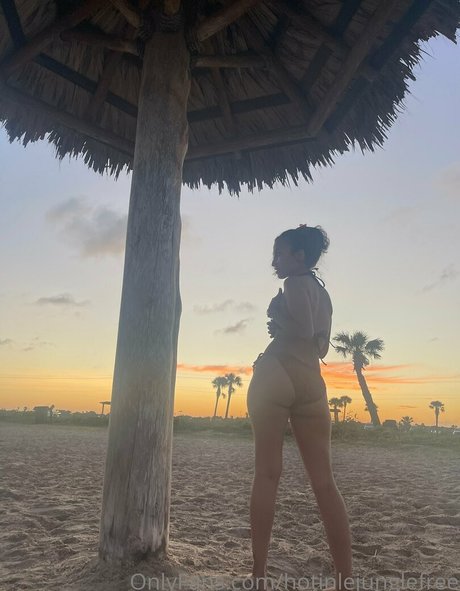 hotinlejunglefree beautiful actress galleries