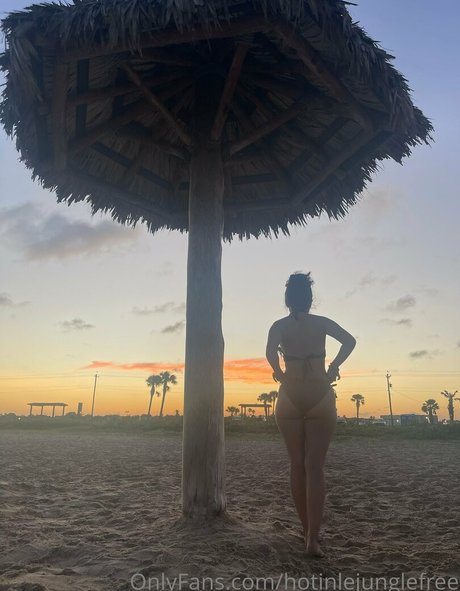 hotinlejunglefree xxx star galleries