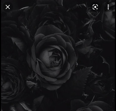 facial onlyfans adult photos