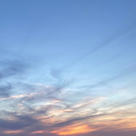 User80190714 nude pornstar pics