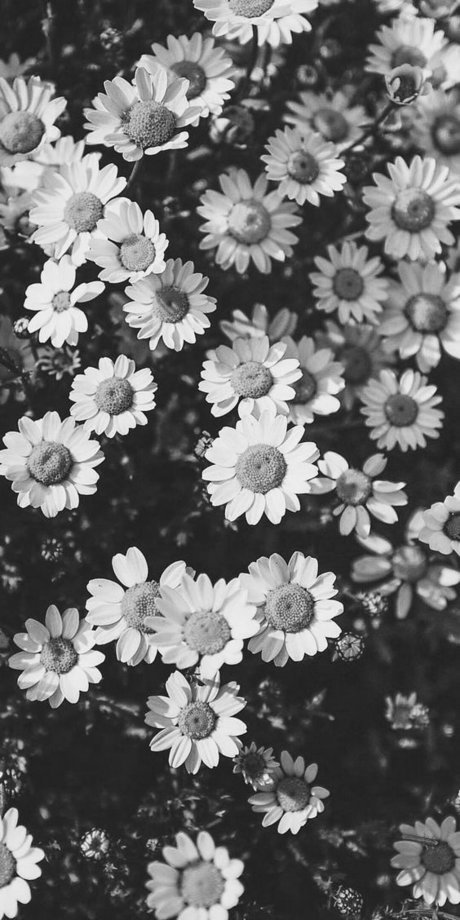 Sam Noskow beautiful actress archive