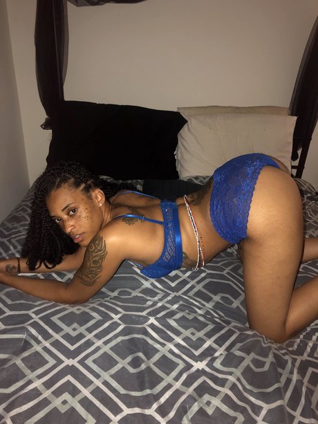 Tender model nice archive