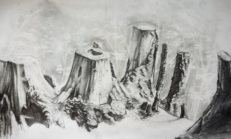 Sweet Peen nice star image