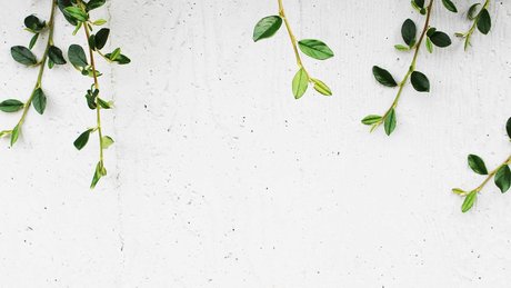 xGetDead adult star pic