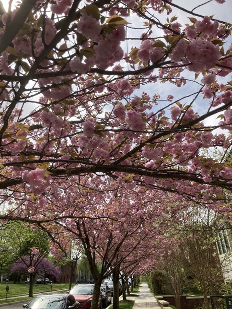 Riley Leigh beautiful pornstar image