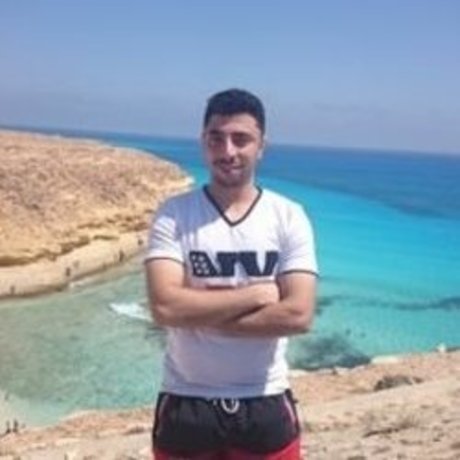 Eng sabry perfect pornstar pictures