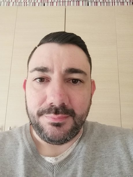 FAT BEAR star nice galleries