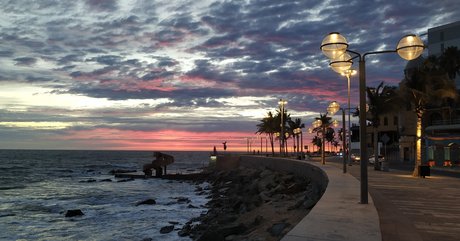 Darthmilo sexy pornstar photo