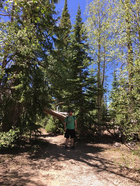 Jason Gamble star hd image