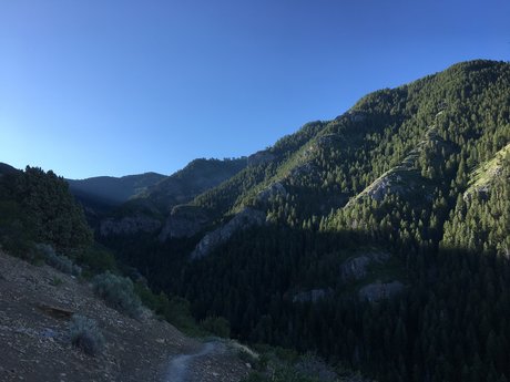 Jason Gamble nudes star archive