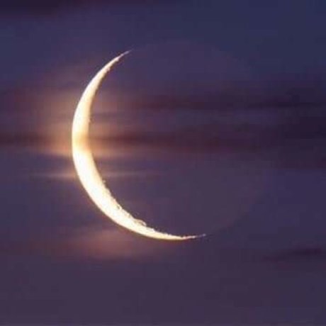 Orion pornstar nice pictures