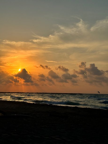 Sexy girl packs_ naked model pic