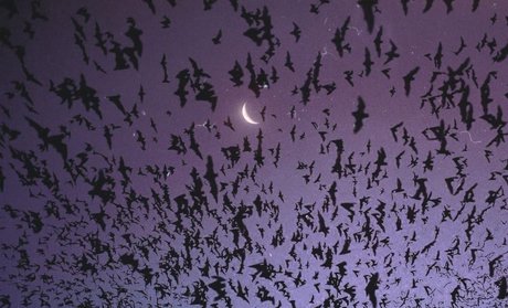 _kitty_ pornstar nudes photos