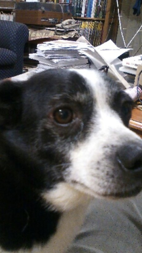 Themiurabull model best galleries