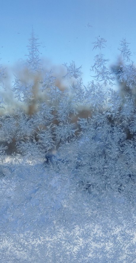 Miss Mallory sex star pic