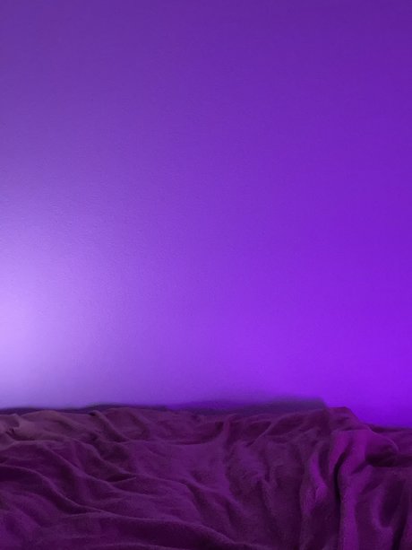 TheLittlePrince porn model archive