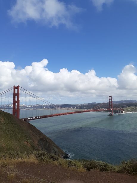 Joey Bowie pornographic star archive