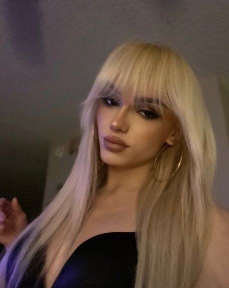 Tay Scheider top star picture