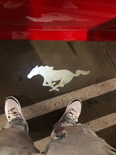 _aucy Jay beautiful star img